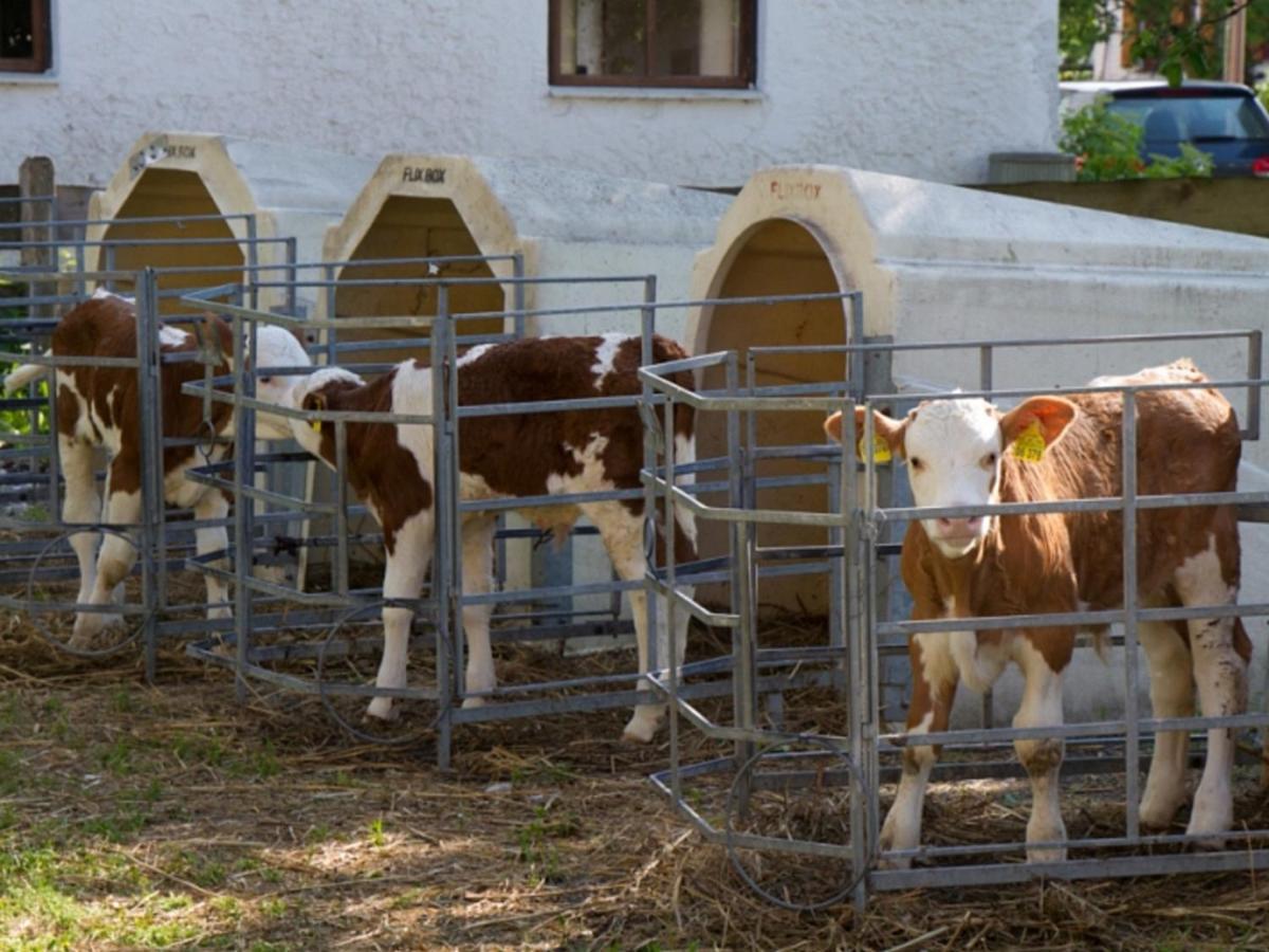 Koenig Andrea Schwaigerhof Rottauヴィラ エクステリア 写真